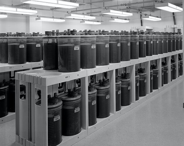 titanpointe-3-article