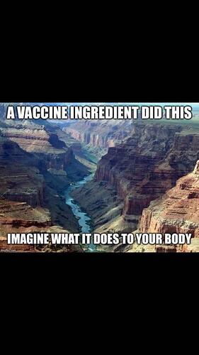 2019-05-05 05.21.54.jpg