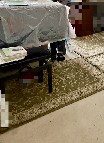 Ugly carpet with remedial rugs