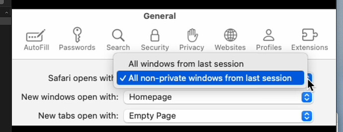 Safari-Settings-2026-02-13