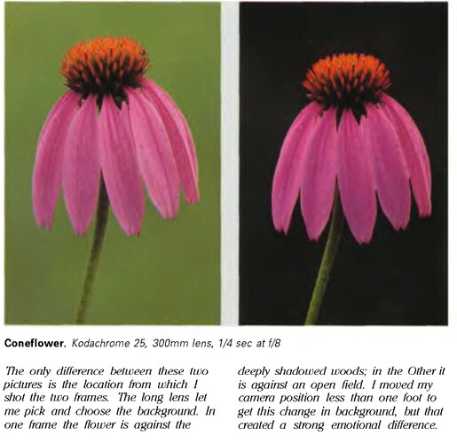 long focal length backgrounds