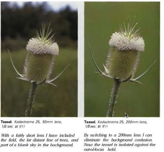 focal length perspective