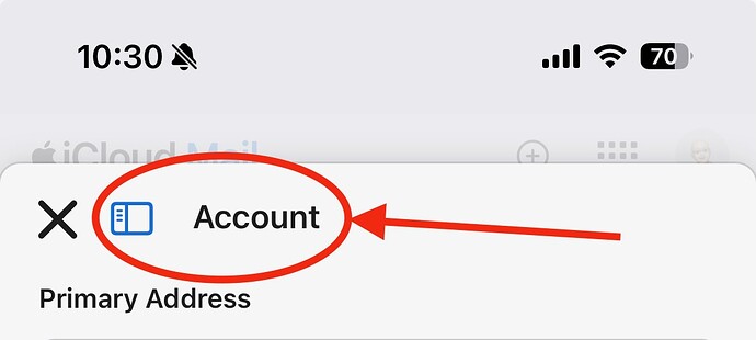 Screenshot of iCloud mail settings on iOS Safari marked up to show where to tap to get to rules settings.