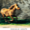 A_Blurry_Photo_of_a